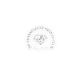 "No Transparent Stones Club" Sticker
